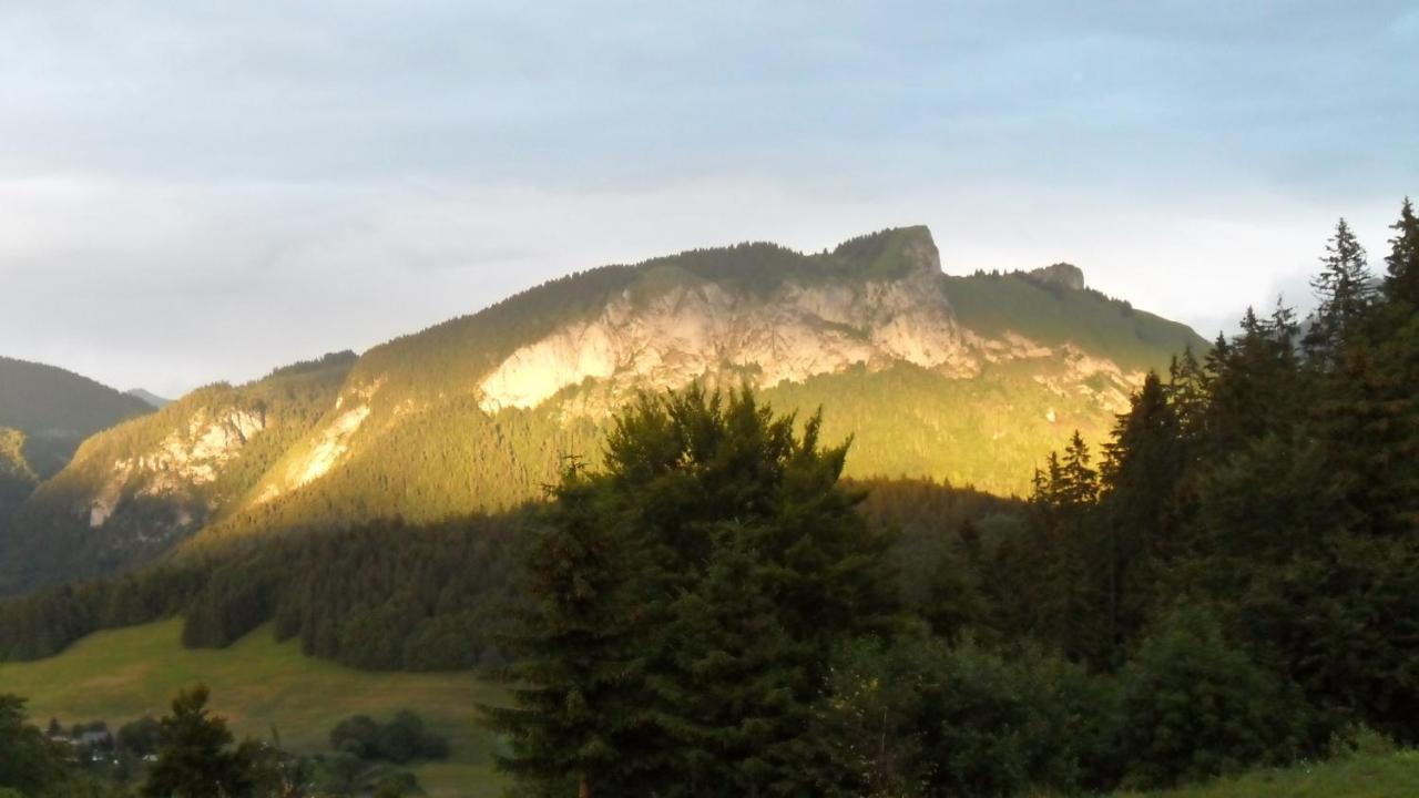 Hotel Les Skieurs Bellevaux Eksteriør billede